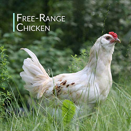 Organic Free Range Chicken Bone Broth Powder 1LB H349