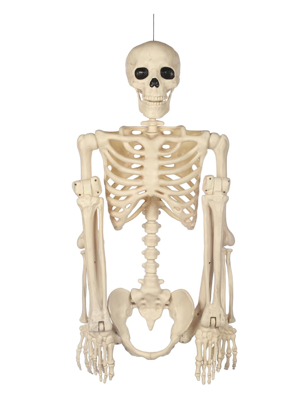 5FT Life Size Posable Skeleton R49059