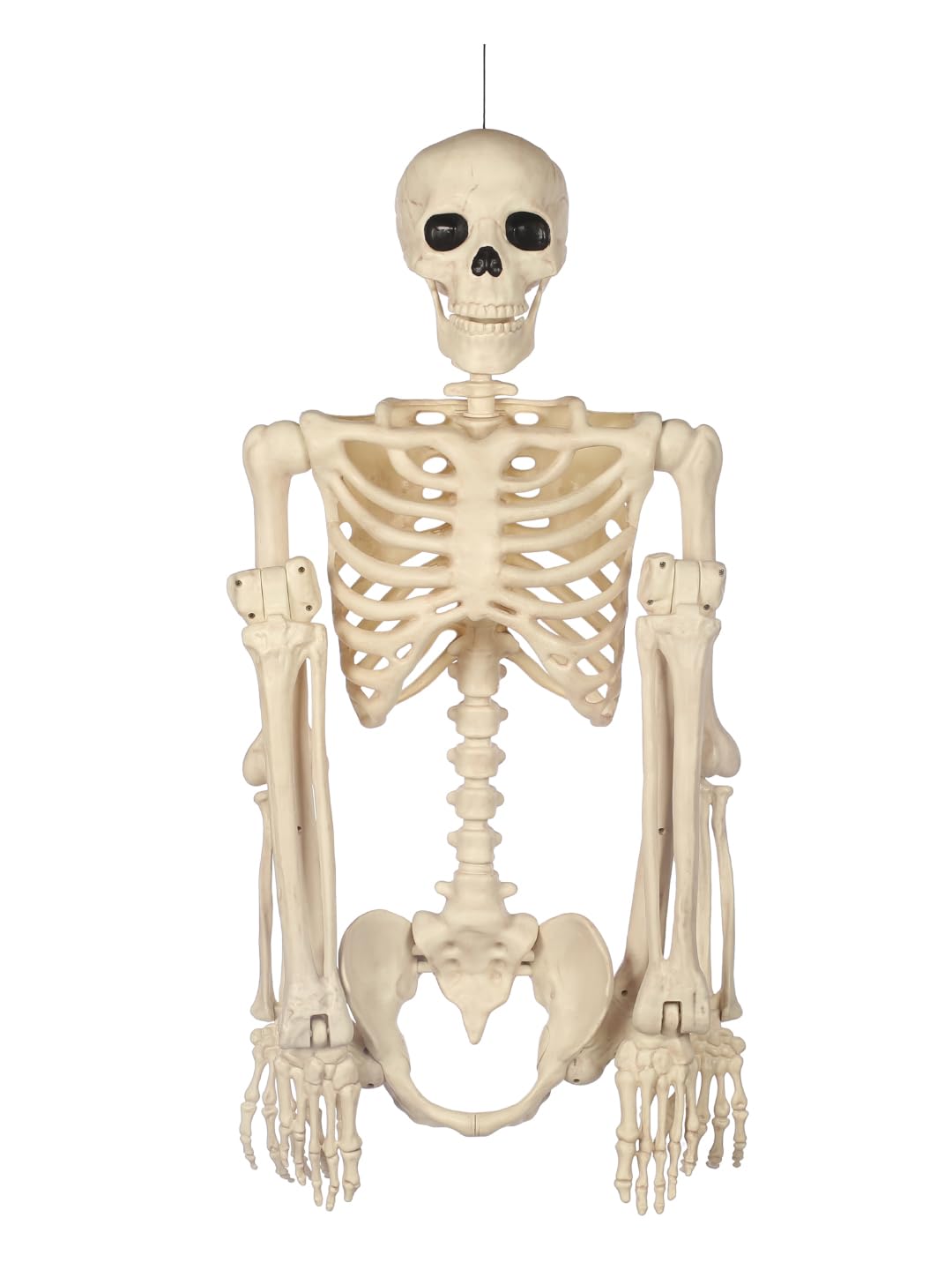 5FT Life Size Posable Skeleton R49059