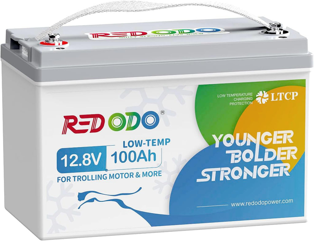 12V 100Ah LiFePO4 Deep Cycle Battery X834796