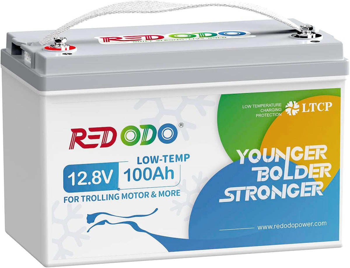 12V 100Ah LiFePO4 Deep Cycle Battery X834796