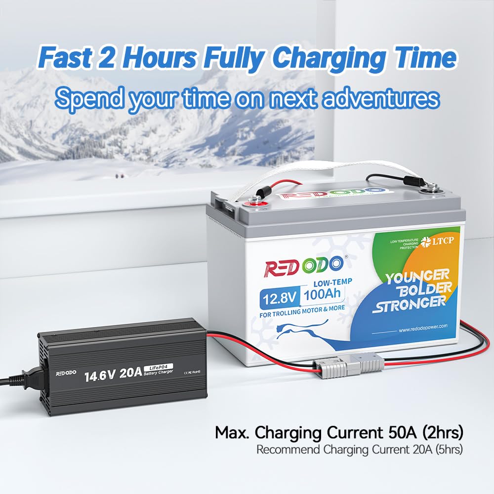 12V 100Ah LiFePO4 Deep Cycle Battery X834796