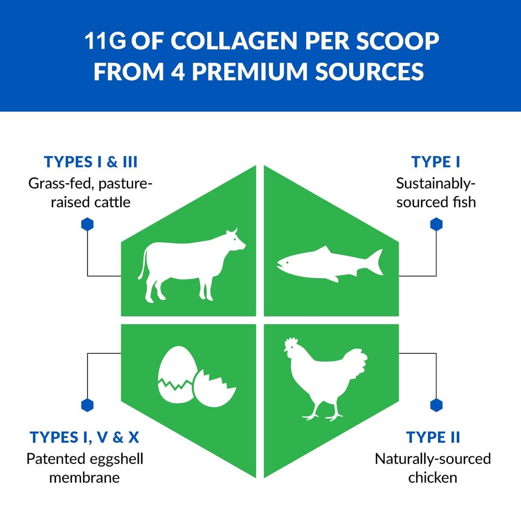 Unflavored Hydrolyzed Collagen Peptides Powder 3 Pack Q8152