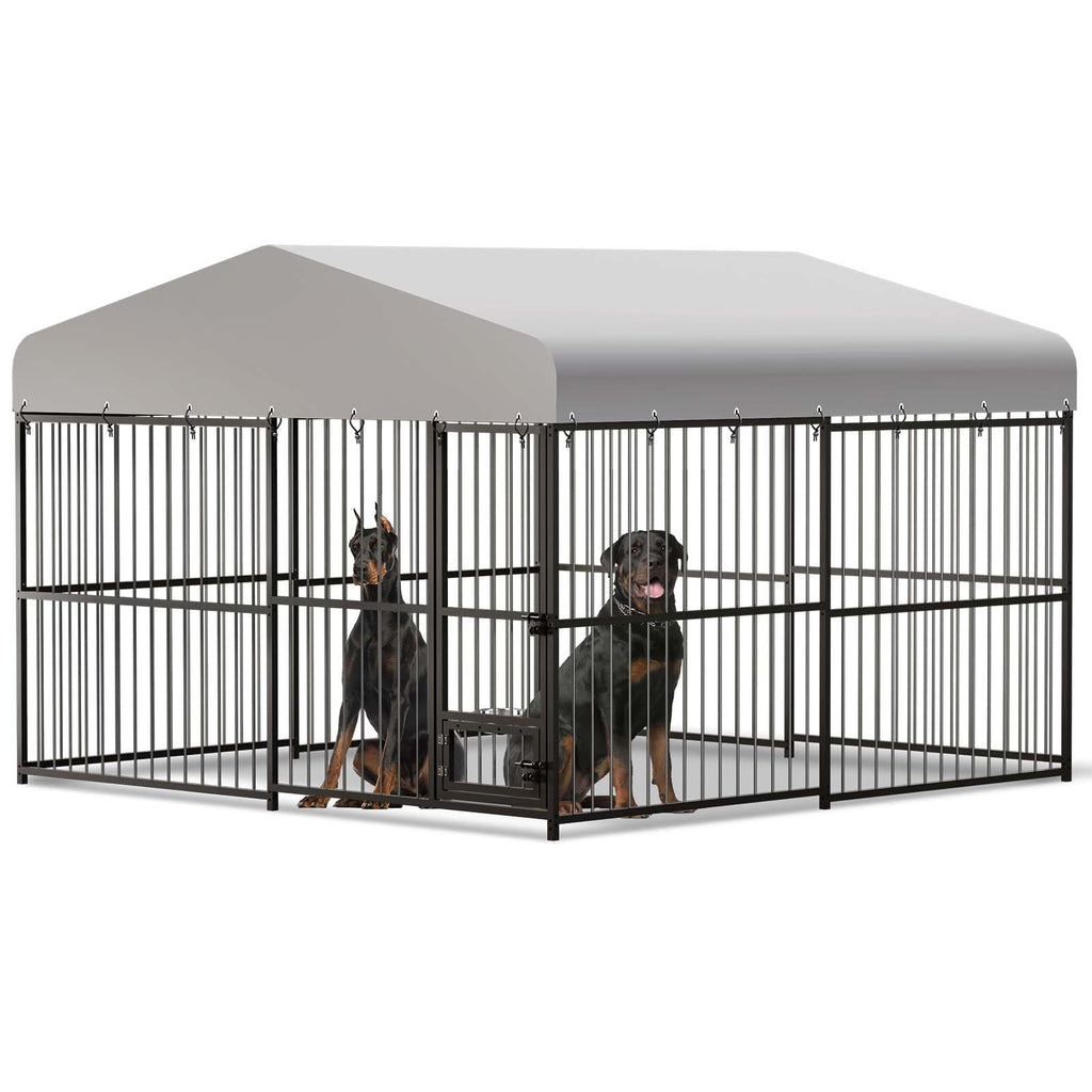 10x10x6 ft Heavy-Duty Outdoor Dog Kennel with Roof C707750