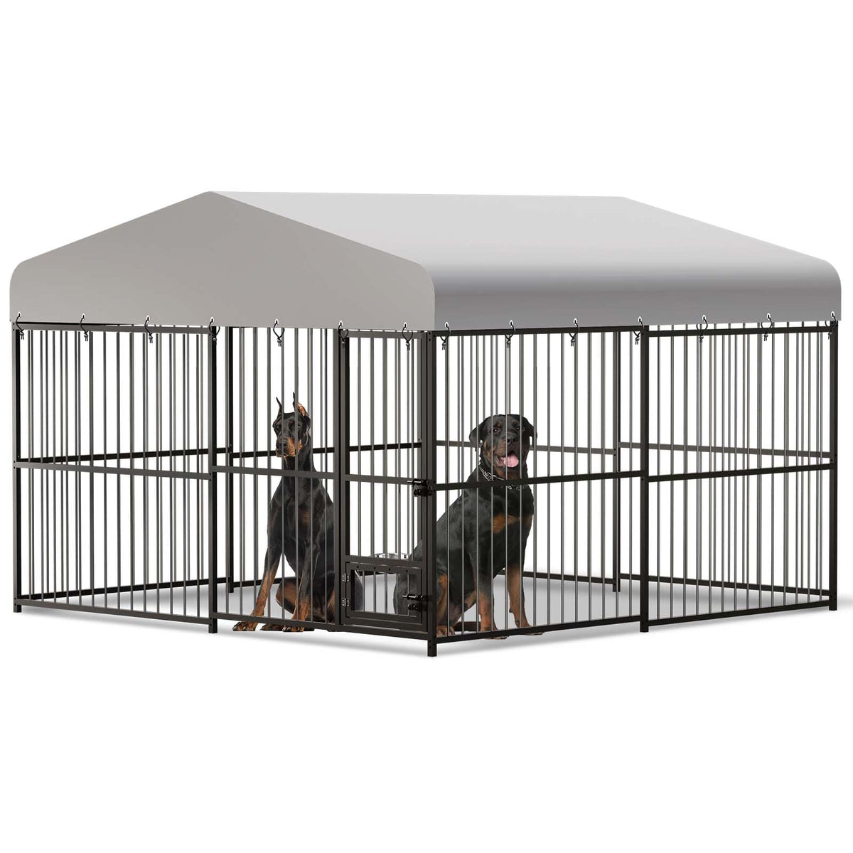 10x10x6 ft Heavy-Duty Outdoor Dog Kennel with Roof C707750