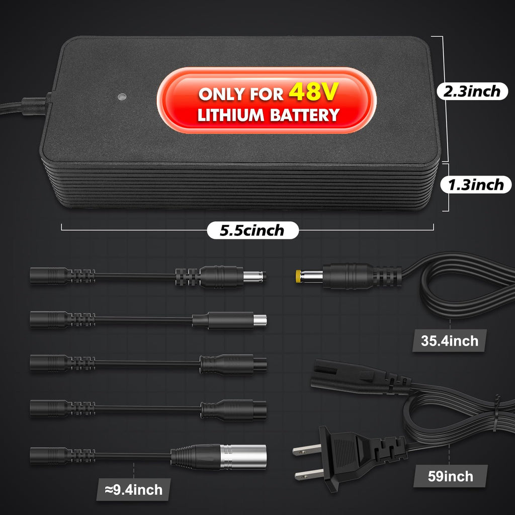 54.6V 2A Electric Bike Charger for 48V Lithium Battery R389