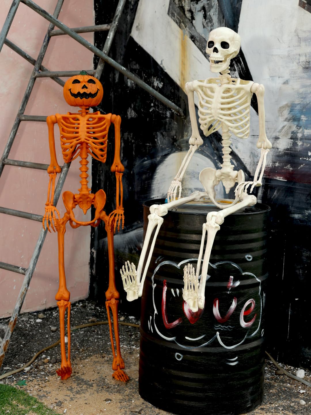 5FT Life Size Posable Skeleton R49059