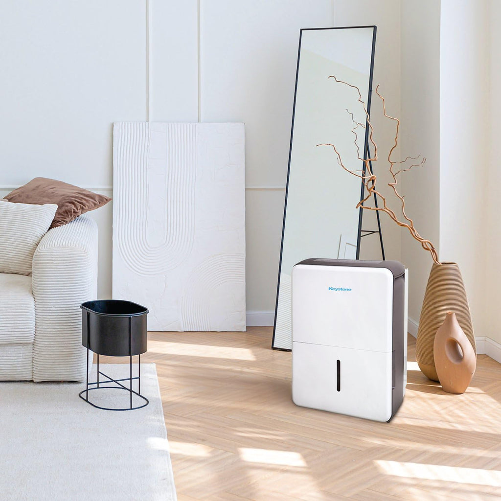 50-Pint Dehumidifier with Built-in Pump B38634