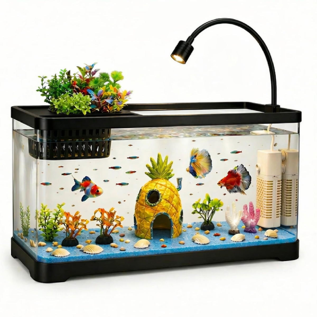 5 Gallon Aquarium Starter Kit with Filter and Light Z75034