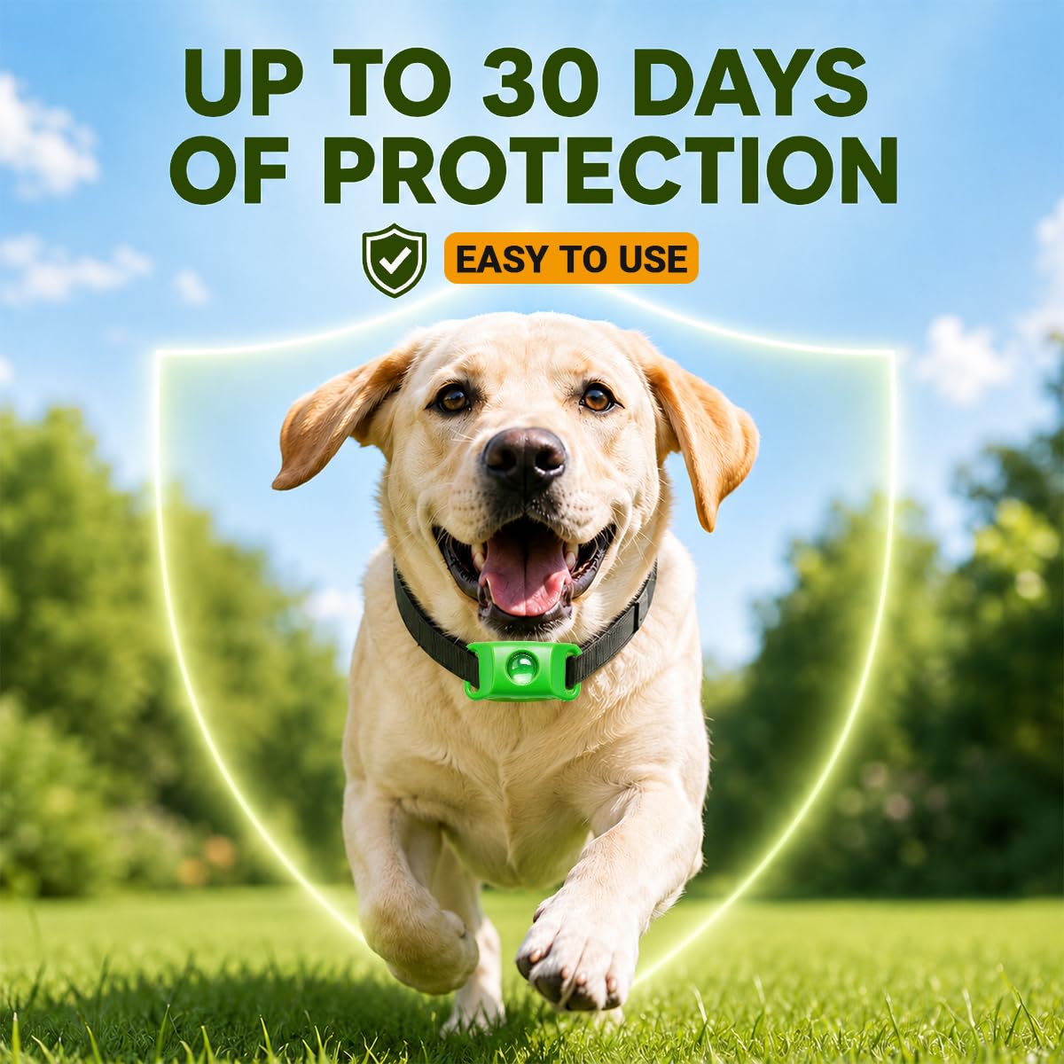 Flea and Tick Prevention Pendant for Dogs with 2 Pendants and 6 Refills Z431815