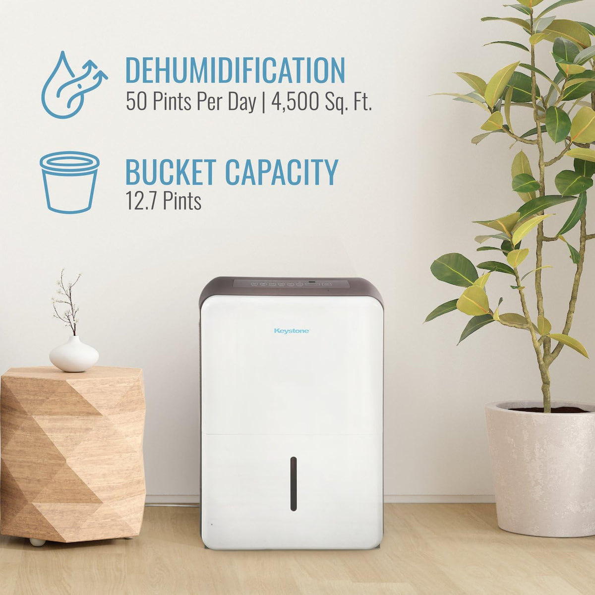 50-Pint Dehumidifier with Built-in Pump B38634