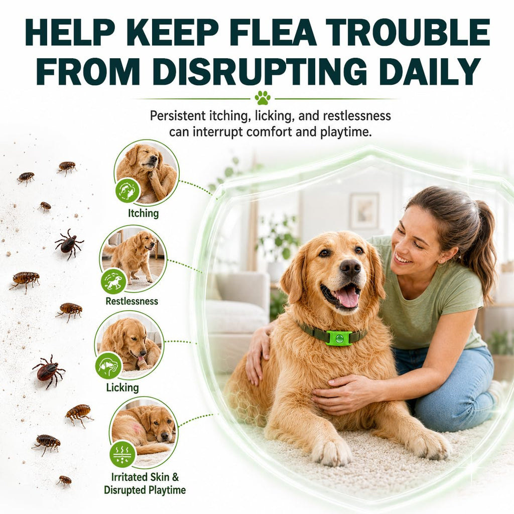 Flea and Tick Prevention Pendant for Dogs with 2 Pendants and 6 Refills Z431815