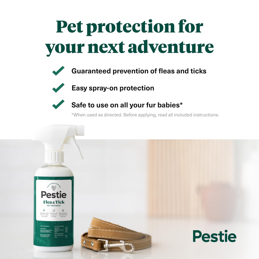 Flea & Tick Treatment for Pets X997035