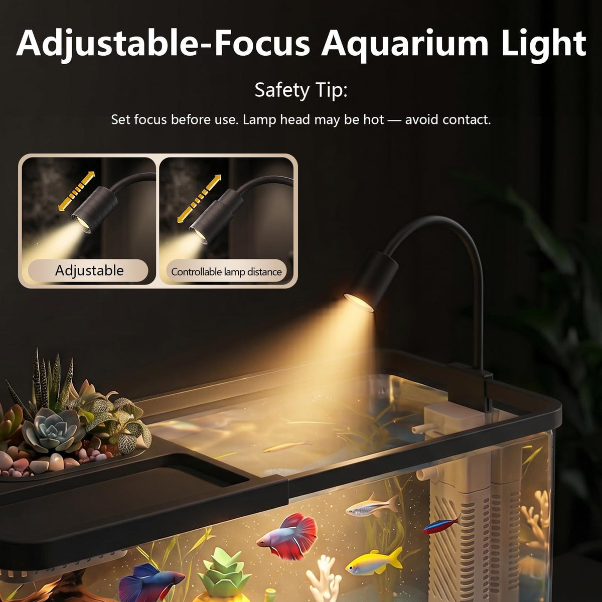 5 Gallon Aquarium Starter Kit with Filter and Light Z75034