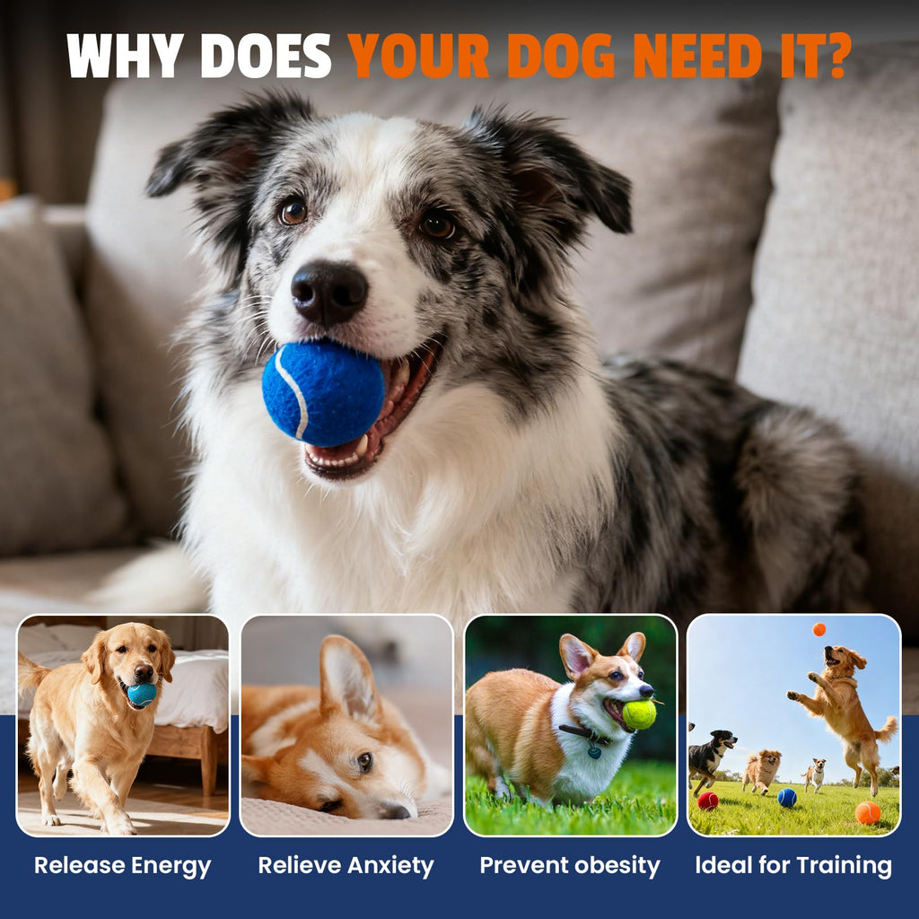 Colorful Tennis Balls for Dogs, 2.5 inches, 16 Pack Y22907