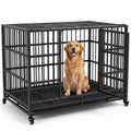 48" Heavy Duty Dog Crate O670639