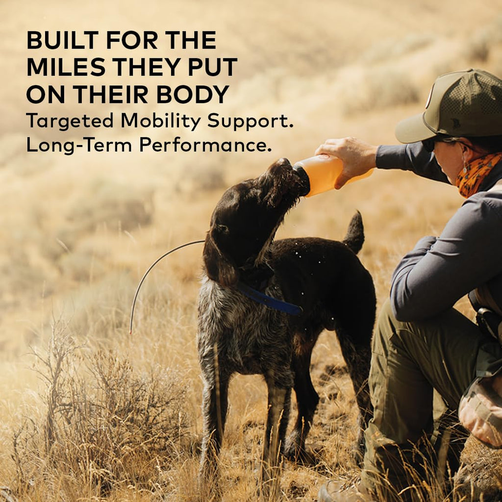 Beef Bone Broth Concentrate for Dogs, 16 oz R6018