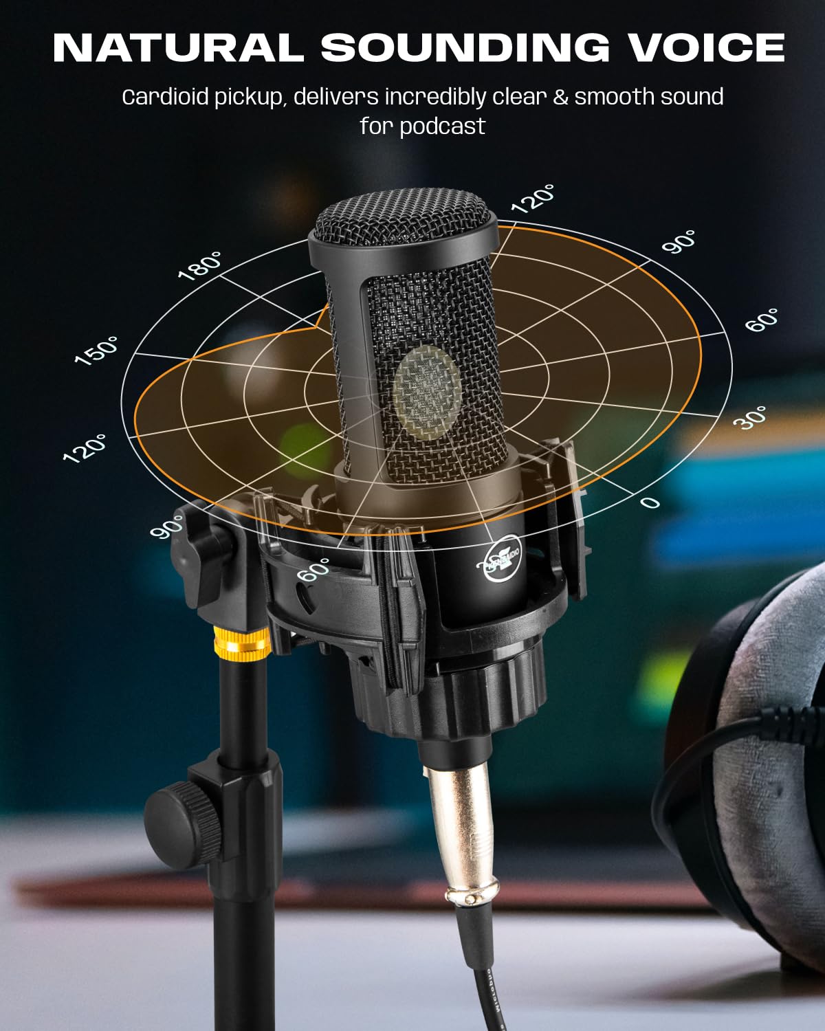 XLR Condenser Microphone with 26mm Large Diaphragm Cardioid Recording Studio Mic Kit G687029
