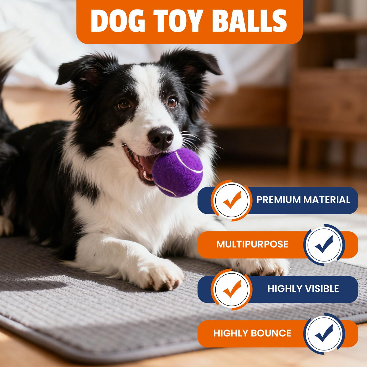 Colorful Tennis Balls for Dogs, 2.5 inches, 16 Pack Y22907