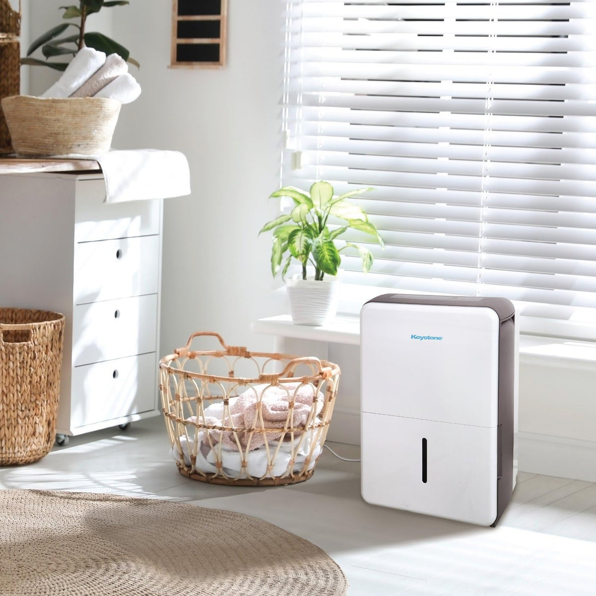 50-Pint Dehumidifier with Built-in Pump B38634