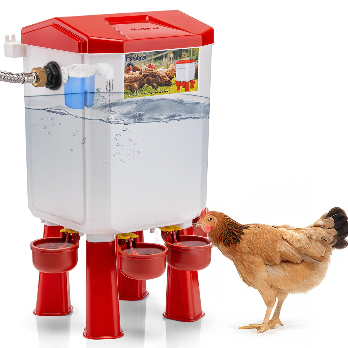 Automatic Chicken Waterer with Stainless Steel Hose E93021