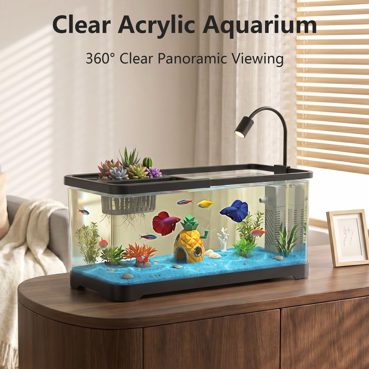 5 Gallon Aquarium Starter Kit with Filter and Light Z75034