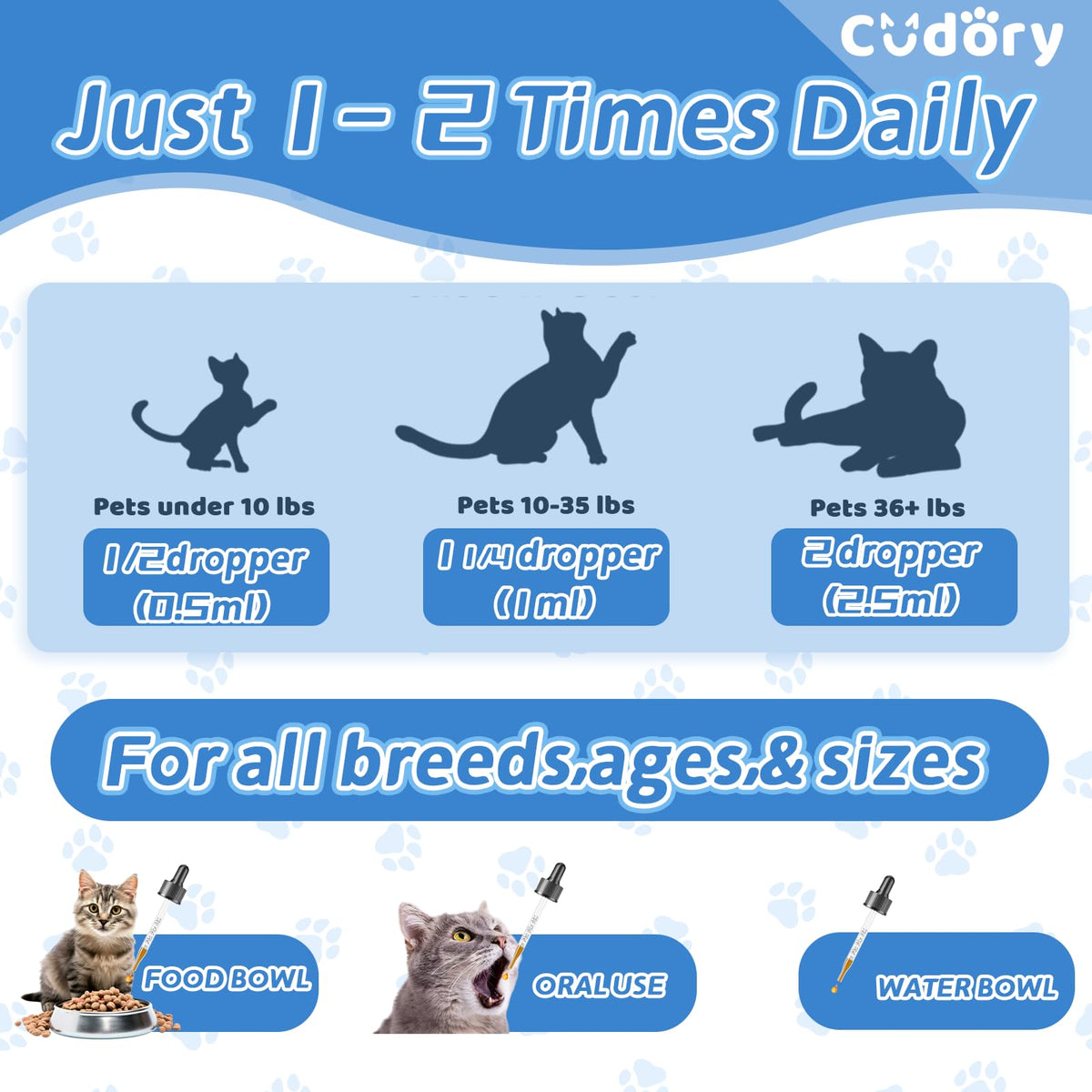2 fl oz Natural Antibiotics for Cats I61370