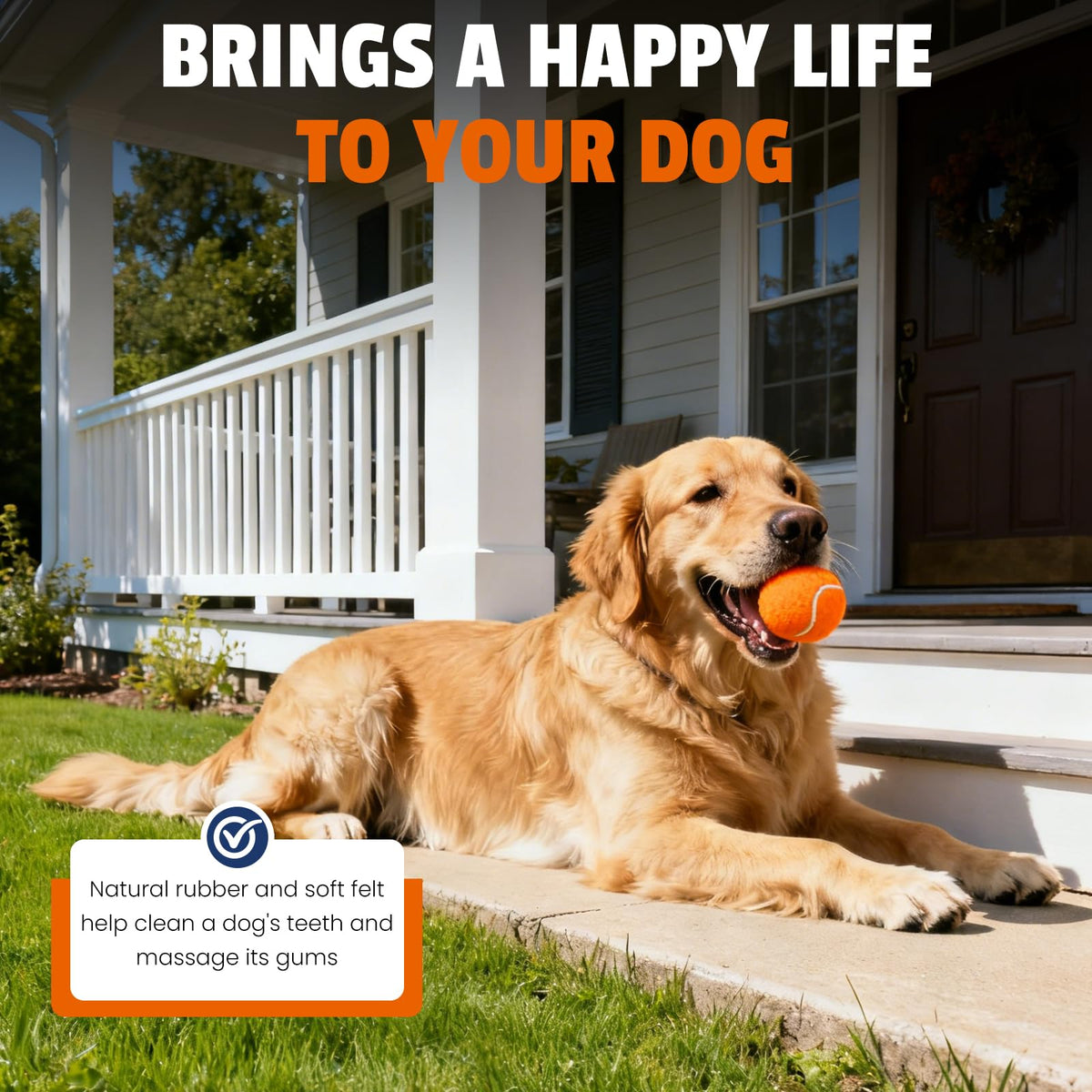 Colorful Tennis Balls for Dogs, 2.5 inches, 16 Pack Y22907