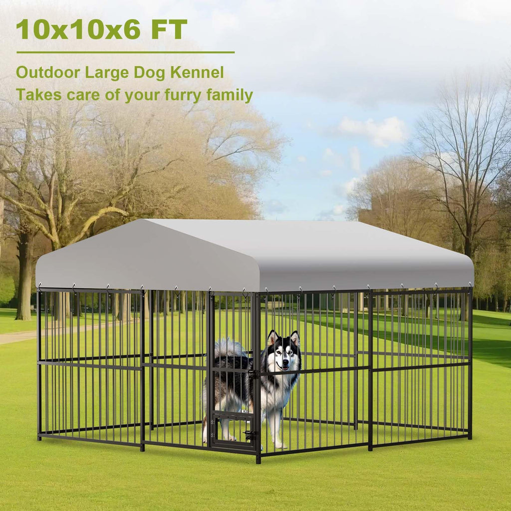 10x10x6 ft Heavy-Duty Outdoor Dog Kennel with Roof C707750