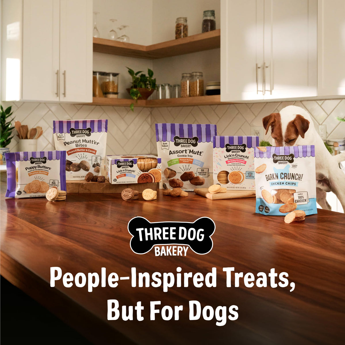 Dog Treats 48 oz Variety Pack L8574