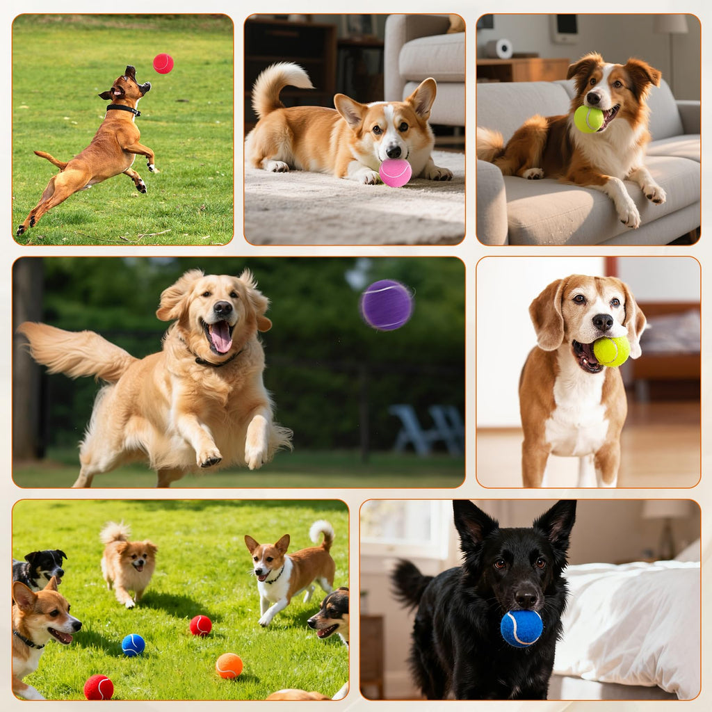 Colorful Tennis Balls for Dogs, 2.5 inches, 16 Pack Y22907