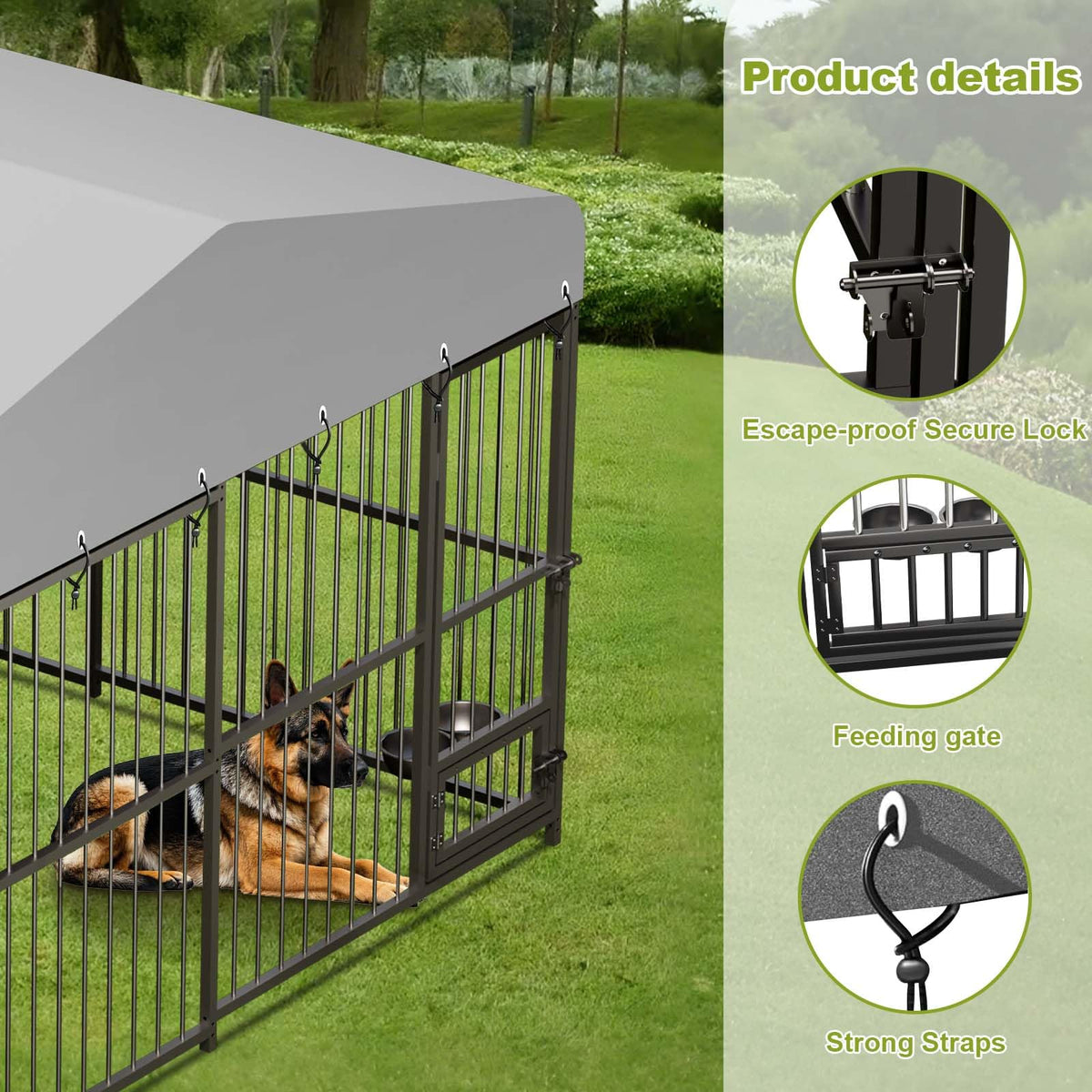 10x10x6 ft Heavy-Duty Outdoor Dog Kennel with Roof C707750