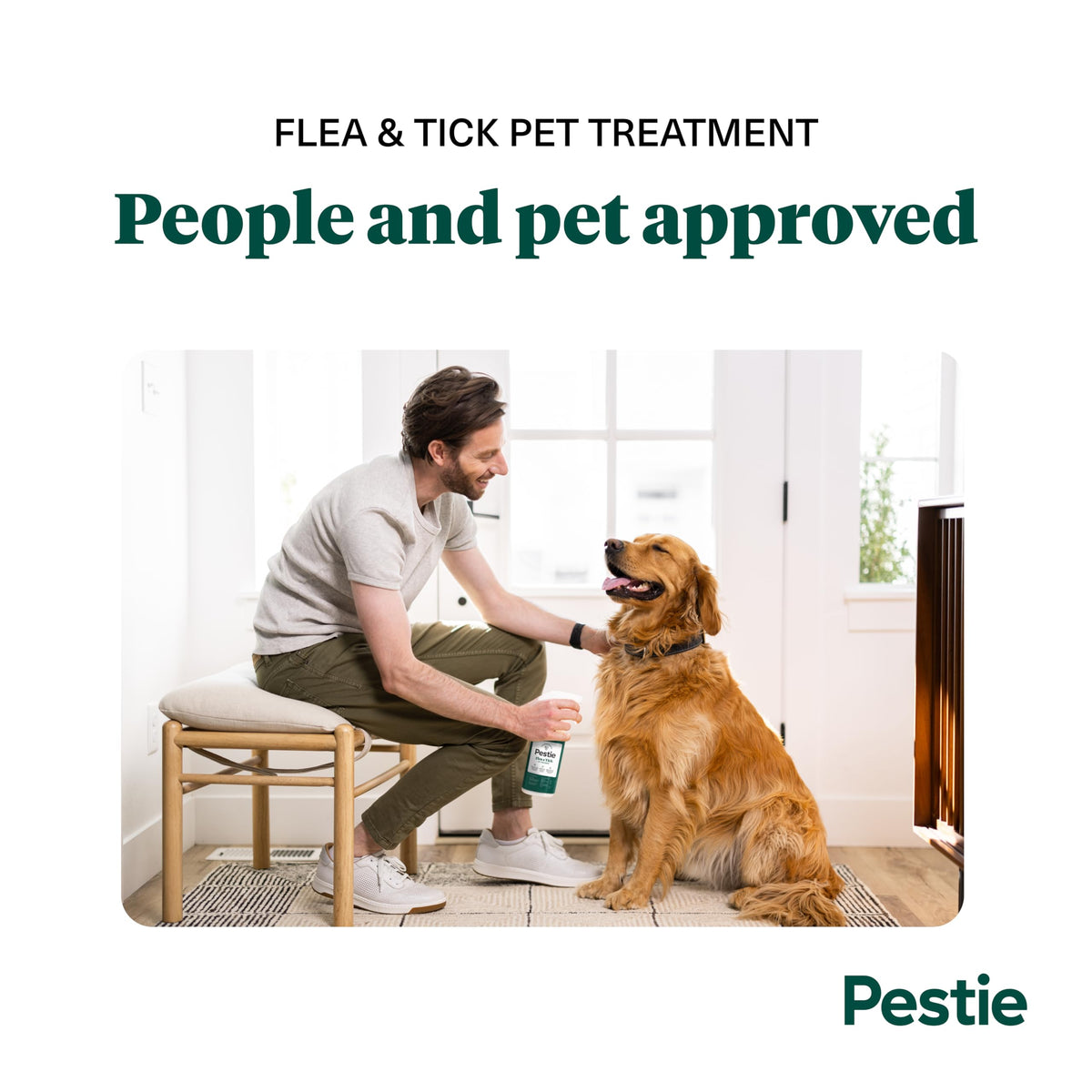 Flea & Tick Treatment for Pets X997035