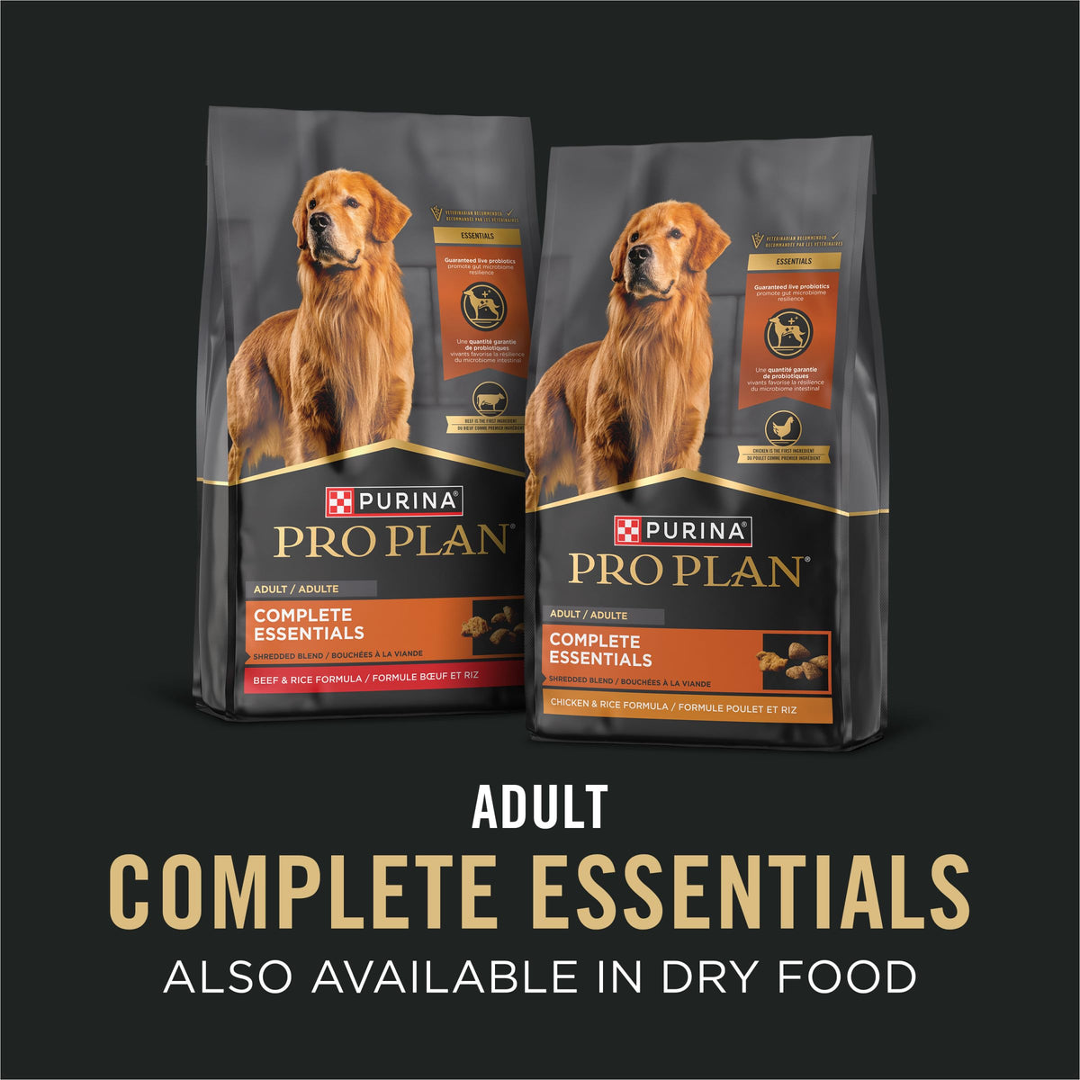 13 oz Wet Dog Food in Gravy R7193