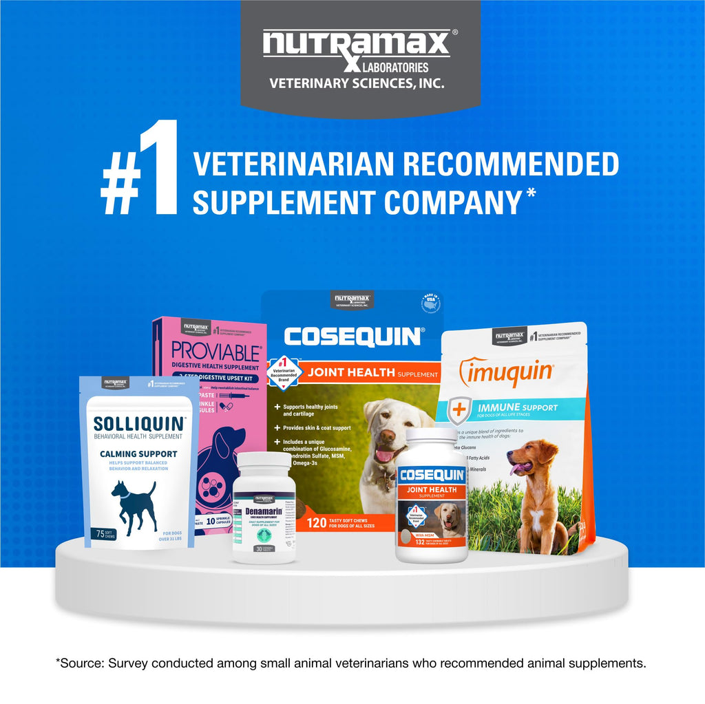 Joint Supplement for Dogs Chew Tabs 60ct M875