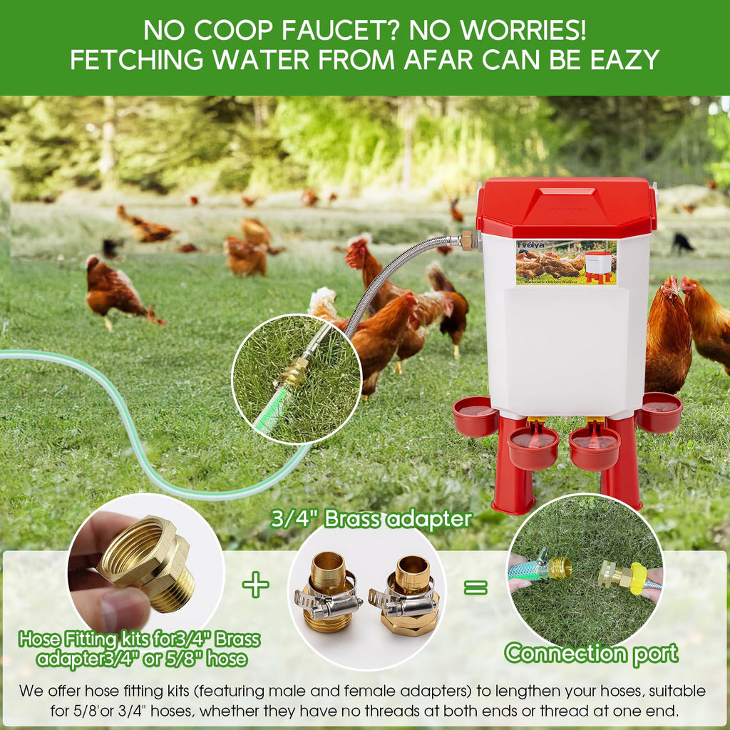 Automatic Chicken Waterer with Stainless Steel Hose E93021