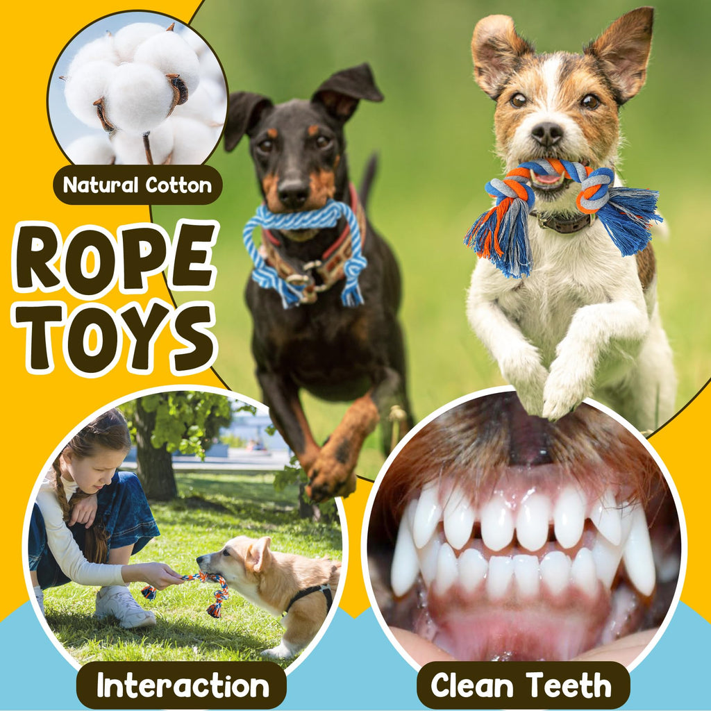 9 Pack Puppy Chew Toys with Rope W263656