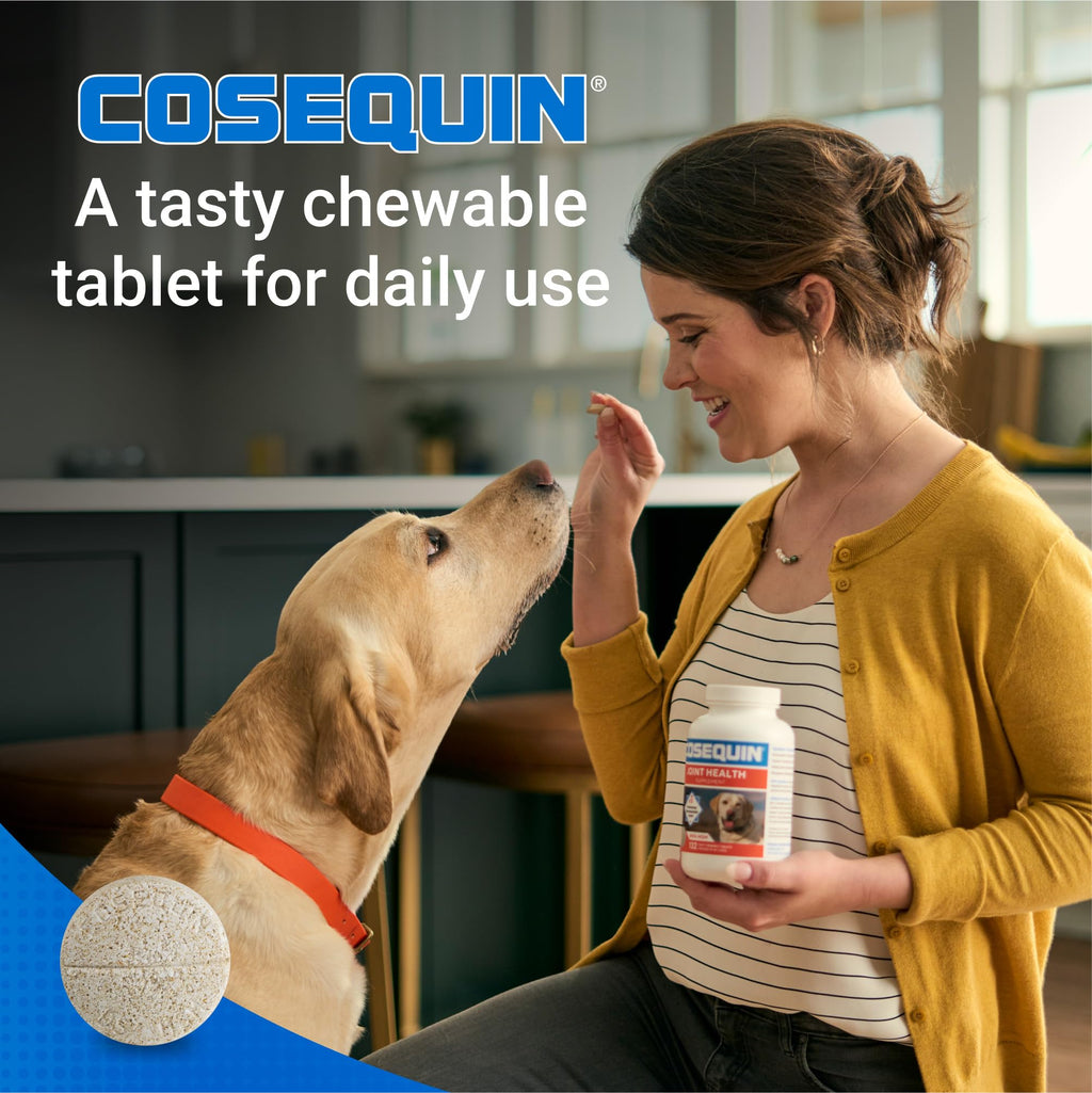Joint Supplement for Dogs Chew Tabs 60ct M875