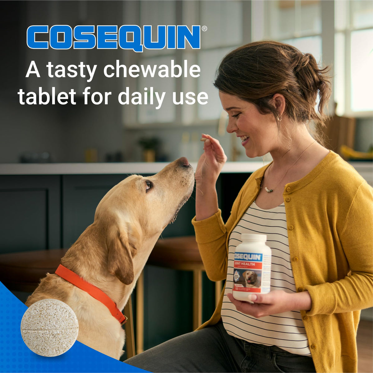 Joint Supplement for Dogs Chew Tabs 60ct M875