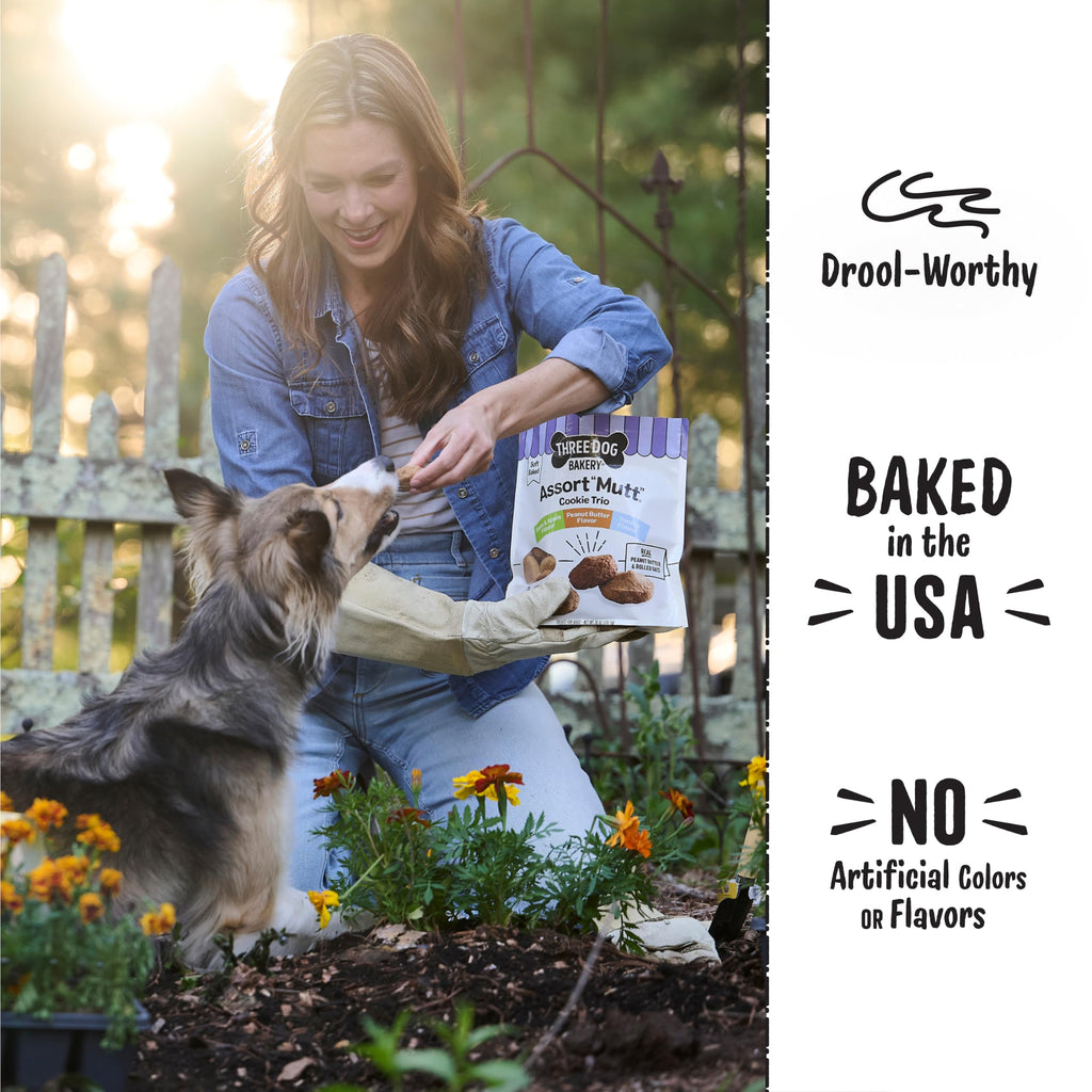 Dog Treats 48 oz Variety Pack L8574