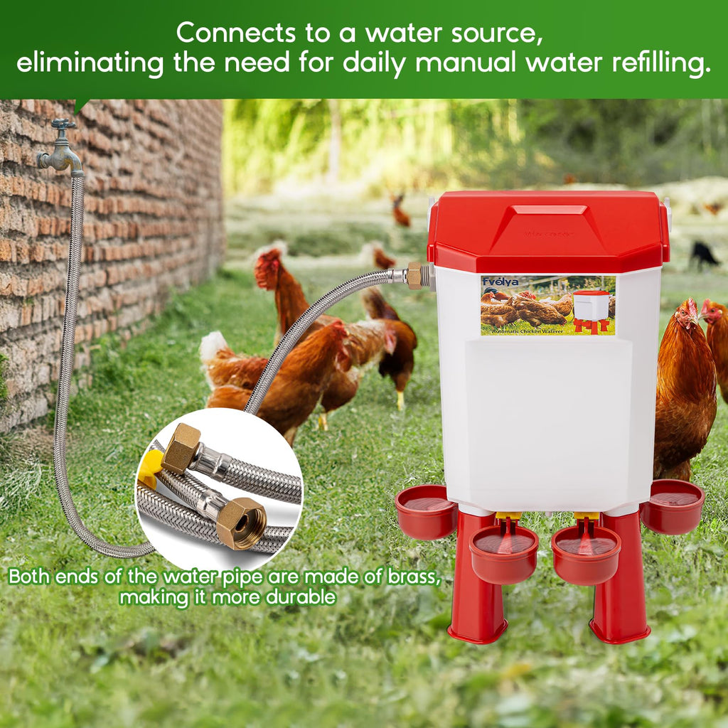 Automatic Chicken Waterer with Stainless Steel Hose E93021