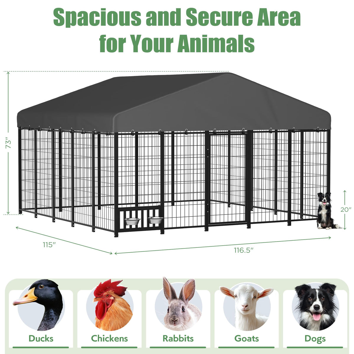 10x10 Ft Outdoor Dog Kennel N678
