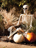 5FT Life Size Posable Skeleton R49059