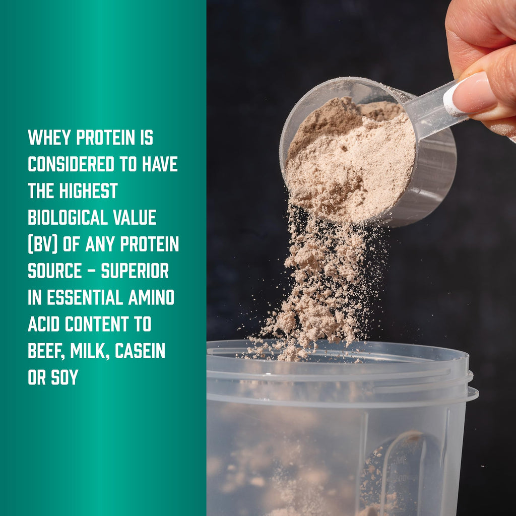 Whey Protein Isolate 25 g With BCAAs Chocolate 5 lbs L153313