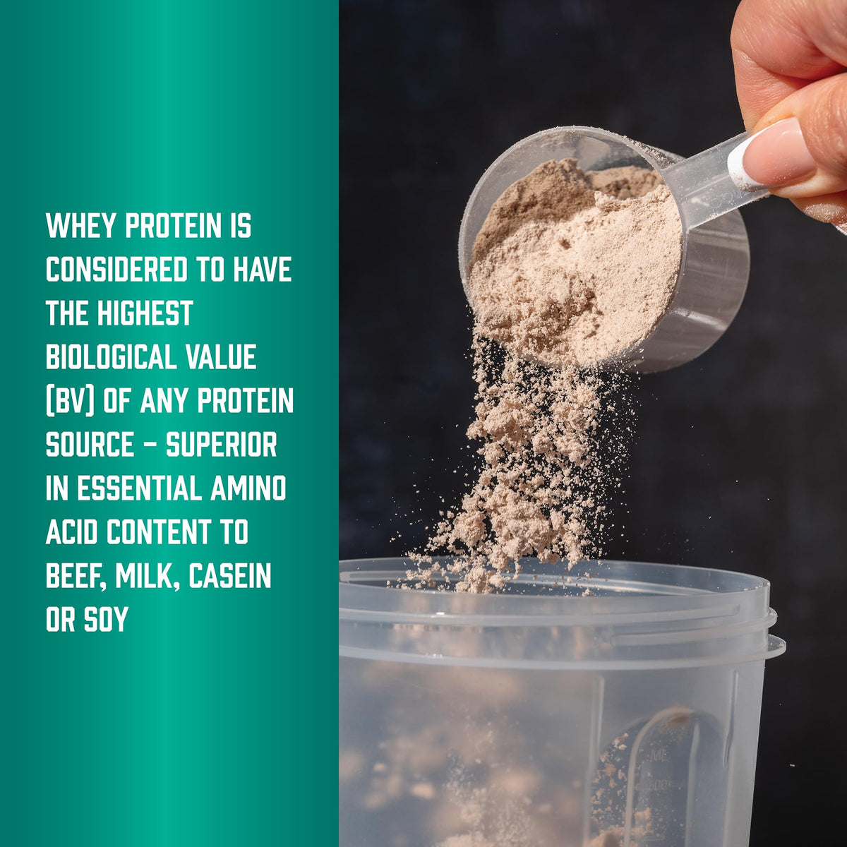 Whey Protein Isolate 25 g With BCAAs Chocolate 5 lbs L153313