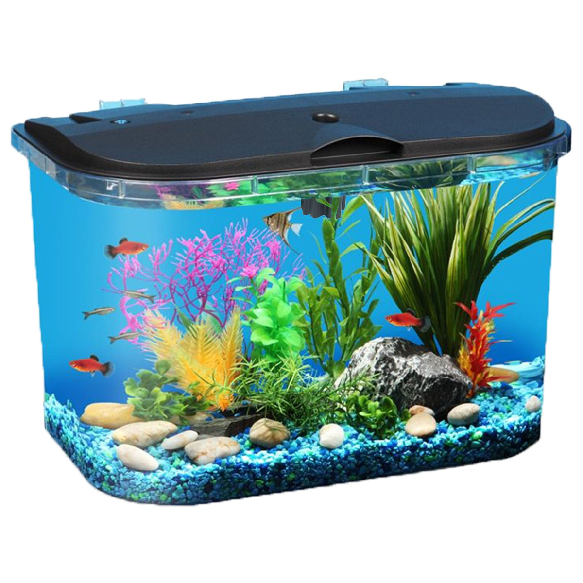 5-Gallon Aquarium Kit with LED Lighting and Power Filter M295361