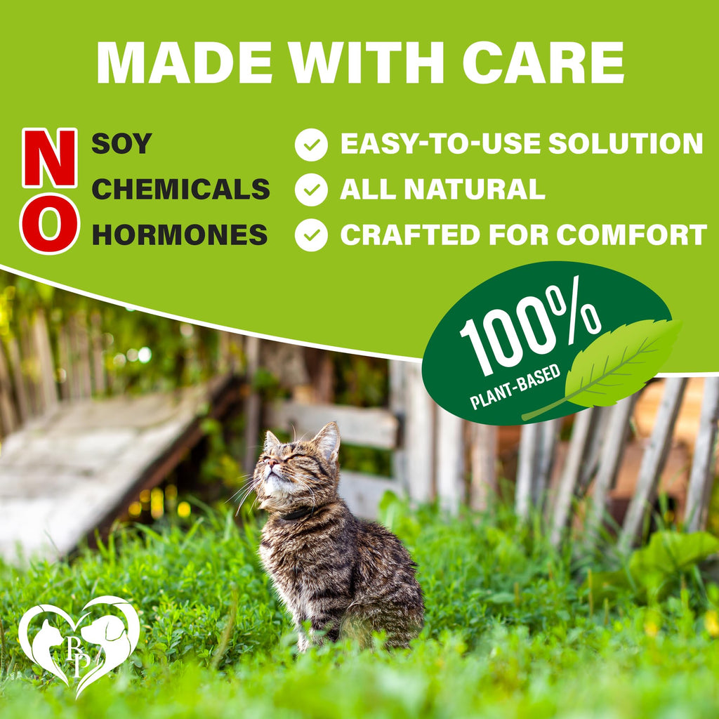 Chewable Flea and Tick Prevention Pills for Dogs and Cats M139