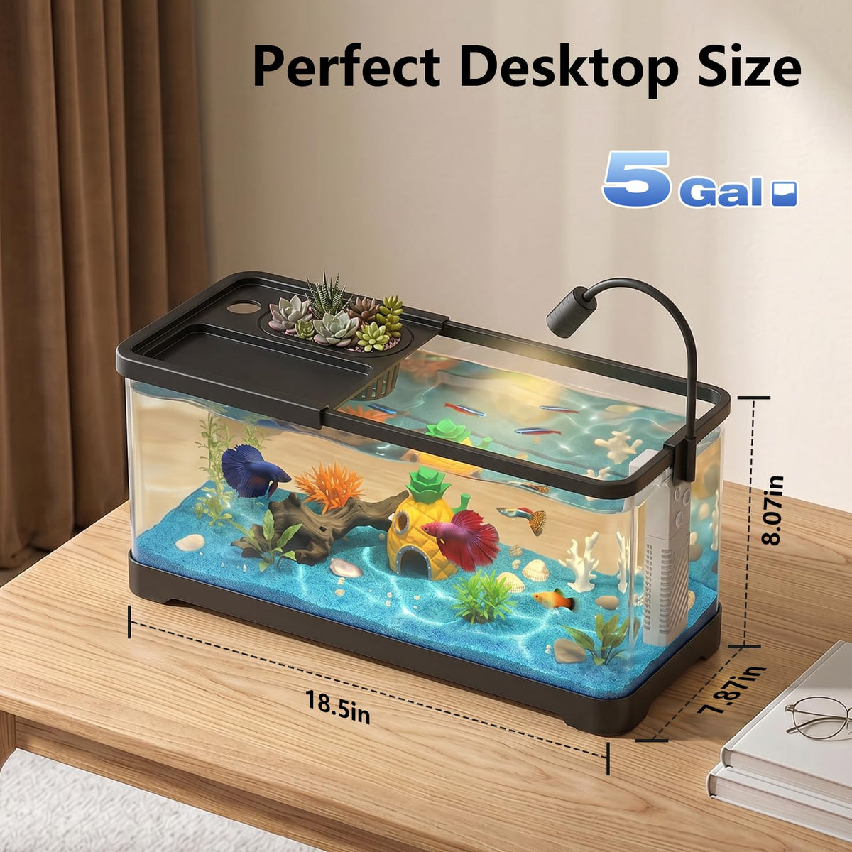 5 Gallon Aquarium Starter Kit with Filter and Light Z75034